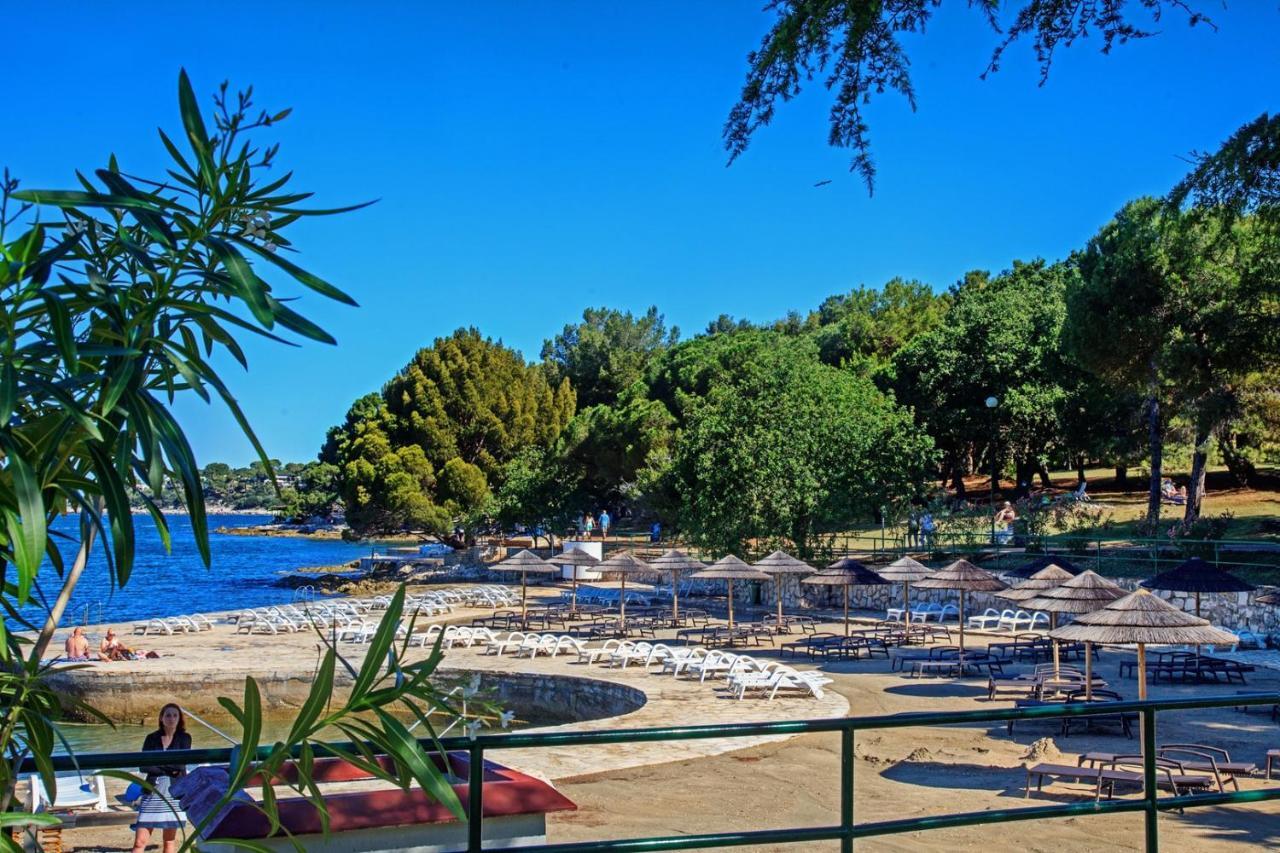 Area Simo 3*
